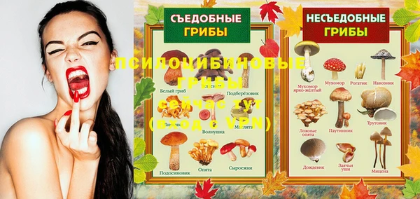 кокаин премиум Алексеевка